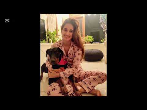 Disha Patani House Tour @TheDecorDetective