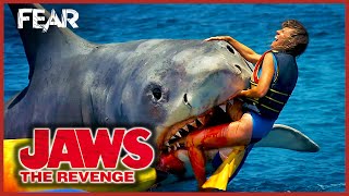 Shark Attacks A Banana Boat | Jaws: The Revenge | Fear