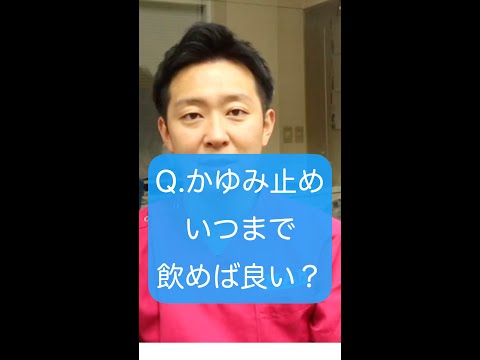 宮田動物病院【かゆみ止めはいつまで飲めば良いの？】#shorts #切り抜き