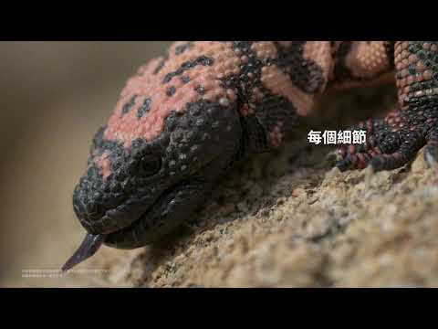 Galaxy S21 | S21+ TELEPHOTO ZOOM #TechnologyTrailers #TELEPHOTOZOOM