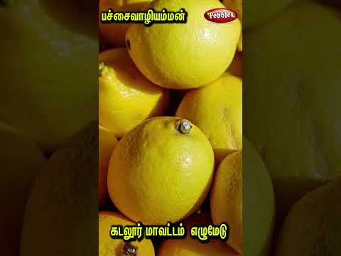 கடலூர் மாவட்டம் பச்சைவாழியம்மன் | Pachai Vazhi Amman history