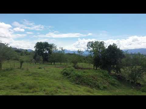 Lote 034- Origen Suroeste Antioqueño - Video 360° Etapa Farallones