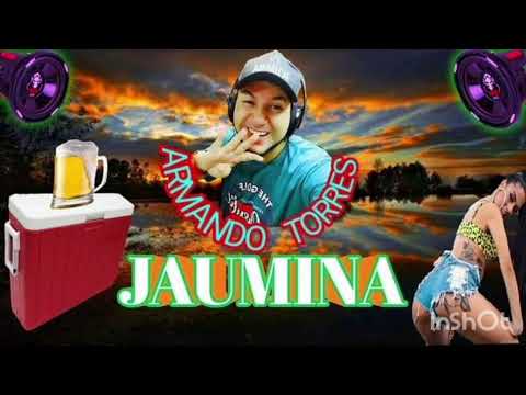 MEGA FUNK JAUMINA