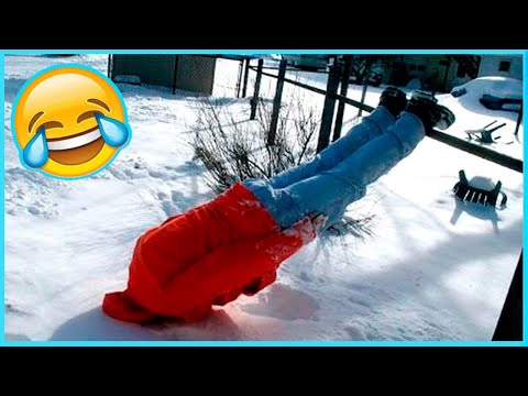 Best Funny Videos 🤣 - People Being Idiots / 🤣 Try Not To Laugh - BY Funny Dog 🏖️ #38