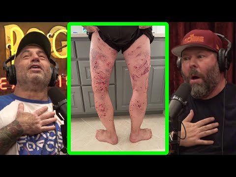 3 Wild Dogs ATTACK Old Man | Joe Rogan & Bert Kreischer | JRE 1990