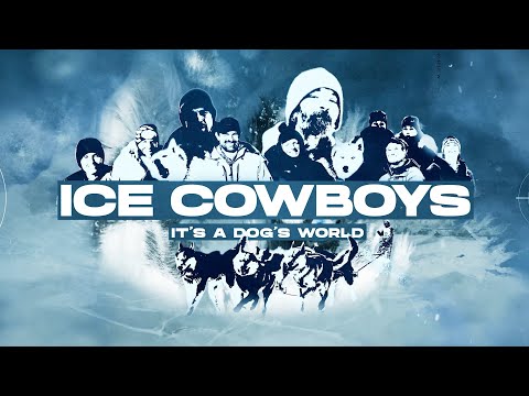 Ice Cowboys - It's a dogs world | PROMO | QRILLPAWS