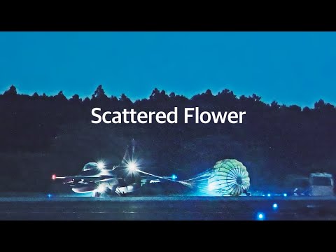 Goodbye Ryuichi Sakamoto　櫻が散ってしまった夜の百里基地でF-2戦闘機を見ながら想ったこと　Scattered Flower