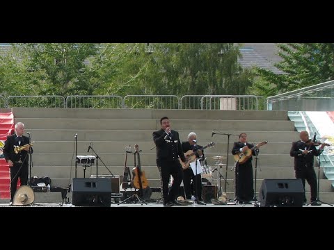 "Cucurrucucú Paloma" by the Mariachi Mexico Amigo