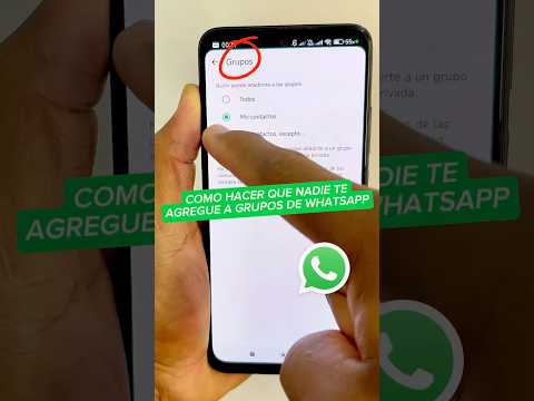 Cómo hacer que nadie te agregue a grupos de WhatsApp