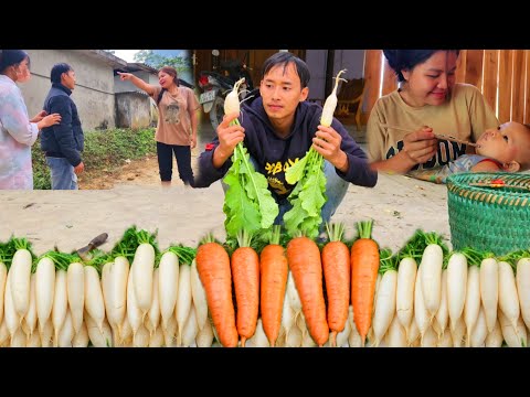 Single parent, harvests sugar beets to sell, works with wife to earn money to take care of children