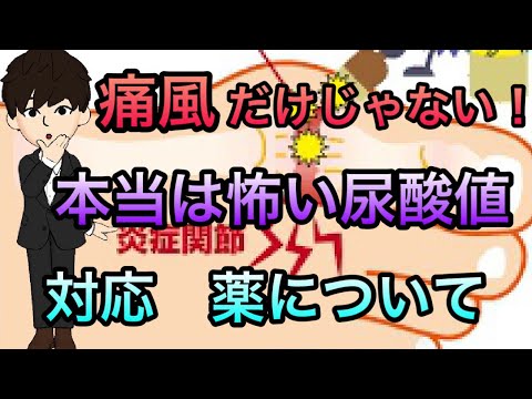 【医師が解説】尿酸が高い　痛風だけじゃない！注意点、医療者向けの薬の使い分けも！