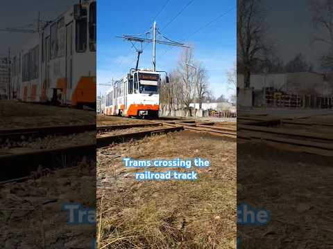 Trams crossing the railroad track #tram