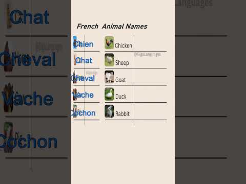 French Animal Names  #LearnFrench #FrenchPhrases