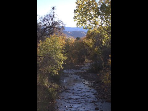 Wildlife camera Chiricahua Mountains in south east Arizona Cochise County Live streaming