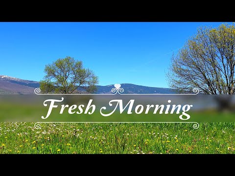 Fresh Morning Positive Energy🌻🌳 Healing Frequency | Peaceful Meditative Ambient Nature Sounds, Birds