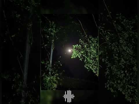 Chaand tu nabhaatla #konkan Night#Moon#Fullscreen status