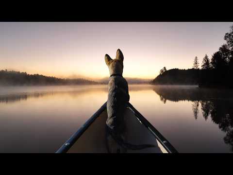 3 Days Backcountry Camping with a New Puppy