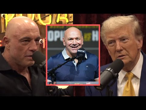 Joe Rogan & Donald Trump talk about Dana White, UFC & Boxing