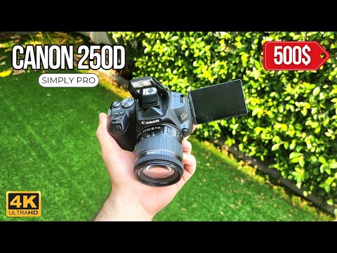 Amateur Price For A Pro DSLR - Canon 250D (Review)