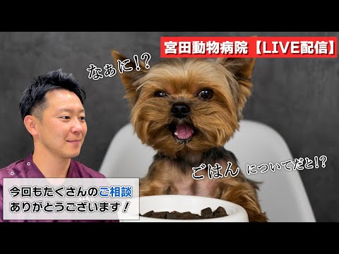 宮田動物病院 ライブ配信【MAHチャンネル】