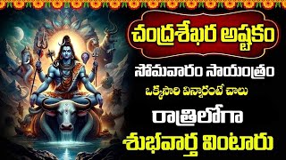 Live: మీరు ఏ పని మొదలుపెట్టిన విజయ వంతం అవ్వాలంటే ఈ పాట వినండి | Om Namasivaya | Telugu Bhakti Songs