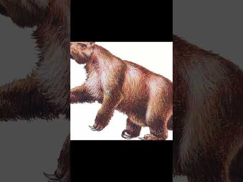 Joe Rogan: Megatherium Giant Sloth