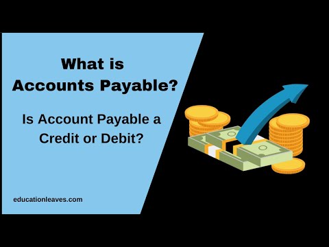 What is Accounts payable? । Accounts payable Debit or Credit