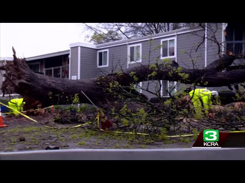 Tree falls on Sacramento County apartment building, causing damage