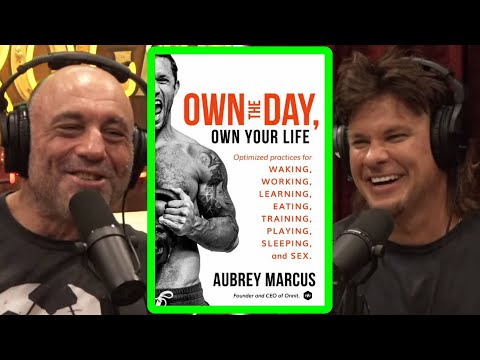 How Theo Von And Joe Rogan Own The Day!