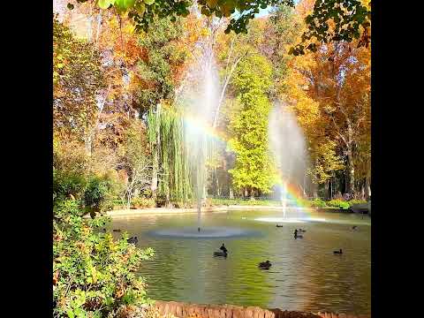 🌿🍂Water Fountain on a Warm Autumn Morning