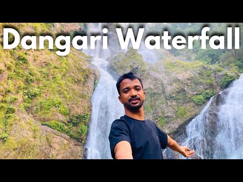 Dangari Waterfall Vlogs ||Jashpur Chhattisgarh || #video #Vishaljourney