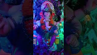 #ganpatibappamoraya #ganesh #viralshort #shorts #short #viral #trending #amchabappa