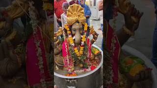 Ganpati Bappa visarjan || Eco friendly ganesh ||#ganpatibappa #viral #ecofriendly #ganeshafestival