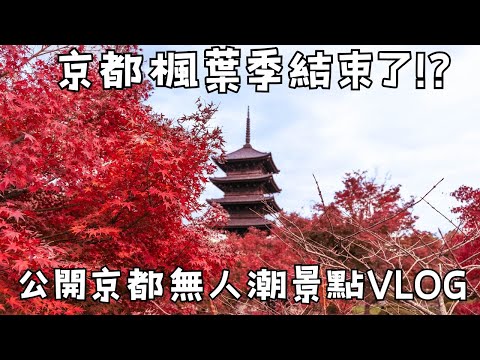 京都自由行2024楓葉最新現況VLOG🍁12.10拍攝｜高台寺夜楓・京都高雄神護寺・東寺｜京都楓葉人潮爆多？！分享無人潮景點｜福岡女孩京都自由行必去景點ep49