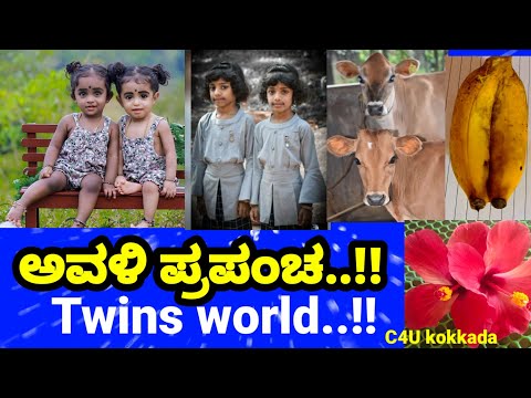 ಅವಳಿ ಪ್ರಪಂಚ ಒಮ್ಮೆ ನೋಡಿ,twins world,avali javali makkalu,twins children,hibiscus flower,banana,cashew