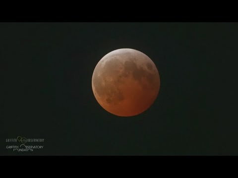 Did you see it? Blood worm moon total lunar eclipse