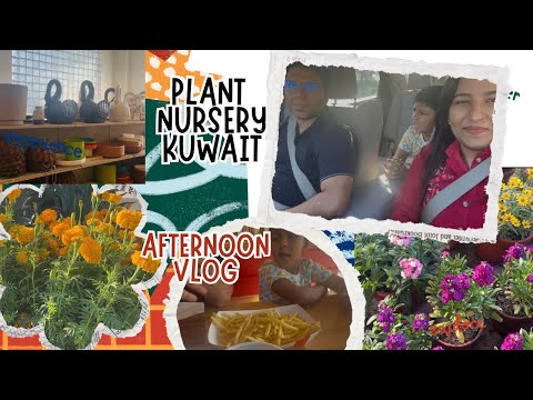 Al rai plant nursery tour| saturday afternoon vlog| Life edit