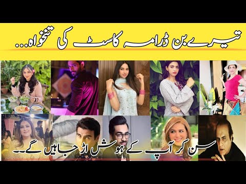 Tere Bin Drama Cast Per episode Salary||Tere bin Drama Cast salary||Geo Drama Tere Bin