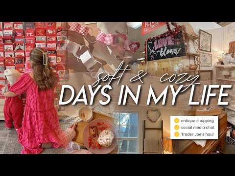 DAYS IN MY LIFE | antique shopping, social media pressures, Trader Joe's haul, & new home decor 💌