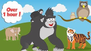 Zoo Animals For Toddlers | Learn Counting, Colours and Days of the Week