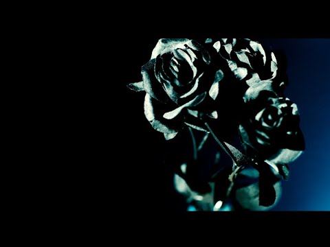 【Teaser】Black Rose/luz