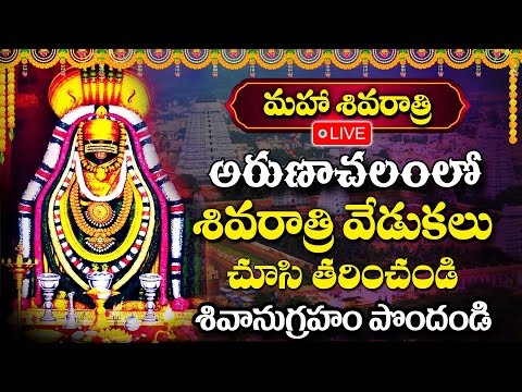 LIVE: మహా శివరాత్రి అరుణాచల శివ లింగం లైవ్ దర్శనం | Arunachalam Live Darshan - Shiva Songs in Telugu