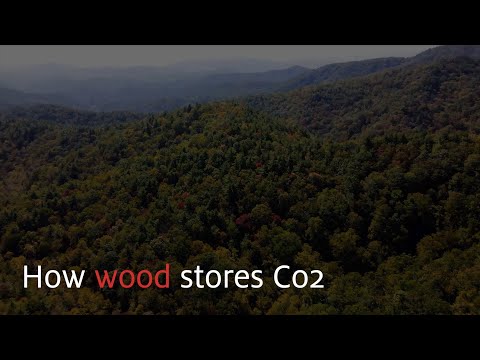 How wood stores Co2