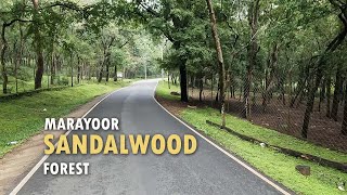 Marayoor Sandalwood Forest | Chinnar Wildlife Sanctuary | Munnar | Kerala