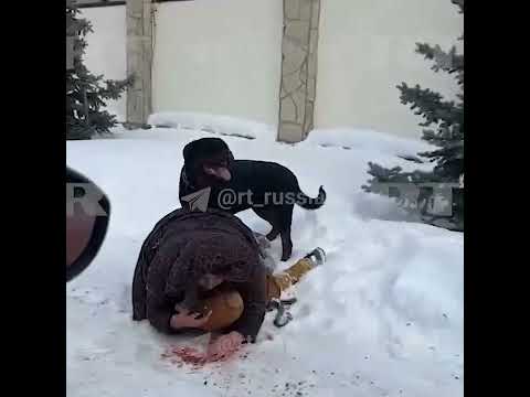 Heroic Mom in Russia, used her own body to protect her child from a Rottweiler.