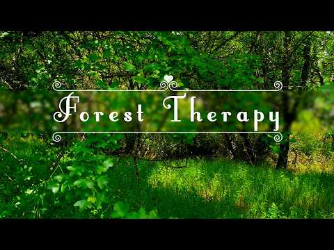 FOREST THERAPY 🌳Begin Your Day with Positive Energy of Healing Forest Sounds 🌳FRESH MORNING Ambience