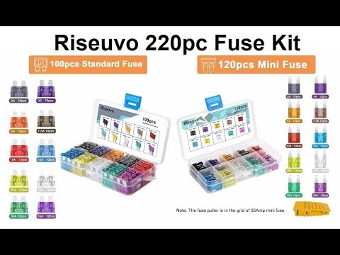 Riseuvo Standard & Mini Car Blade Fuses Assortment Kit (220 Total Pieces)