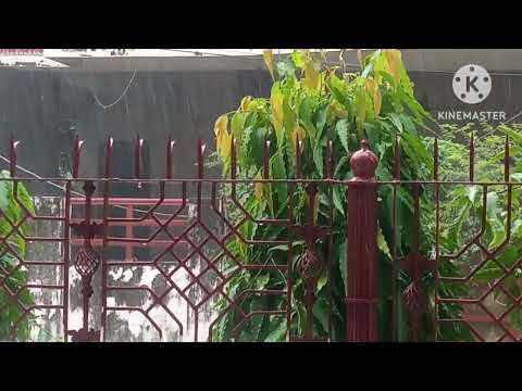 thunder and rain sound effect | real rain storms for sleeping 😴 #rain