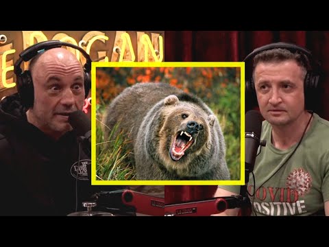 Joe Rogan: GRIZZLY Bears are MONSTERS!