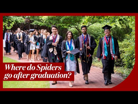 Where do Spiders go after graduation?